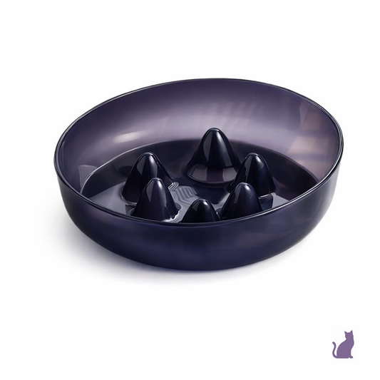 Plato de Alimentación  Lenta - Digestión Feliz