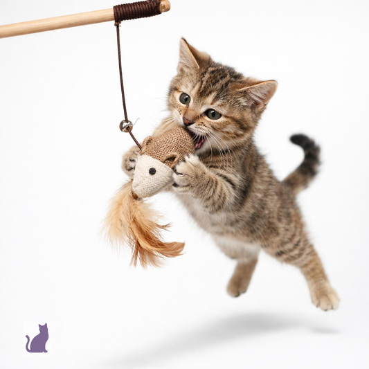 Varita de Caza de Madera Natural