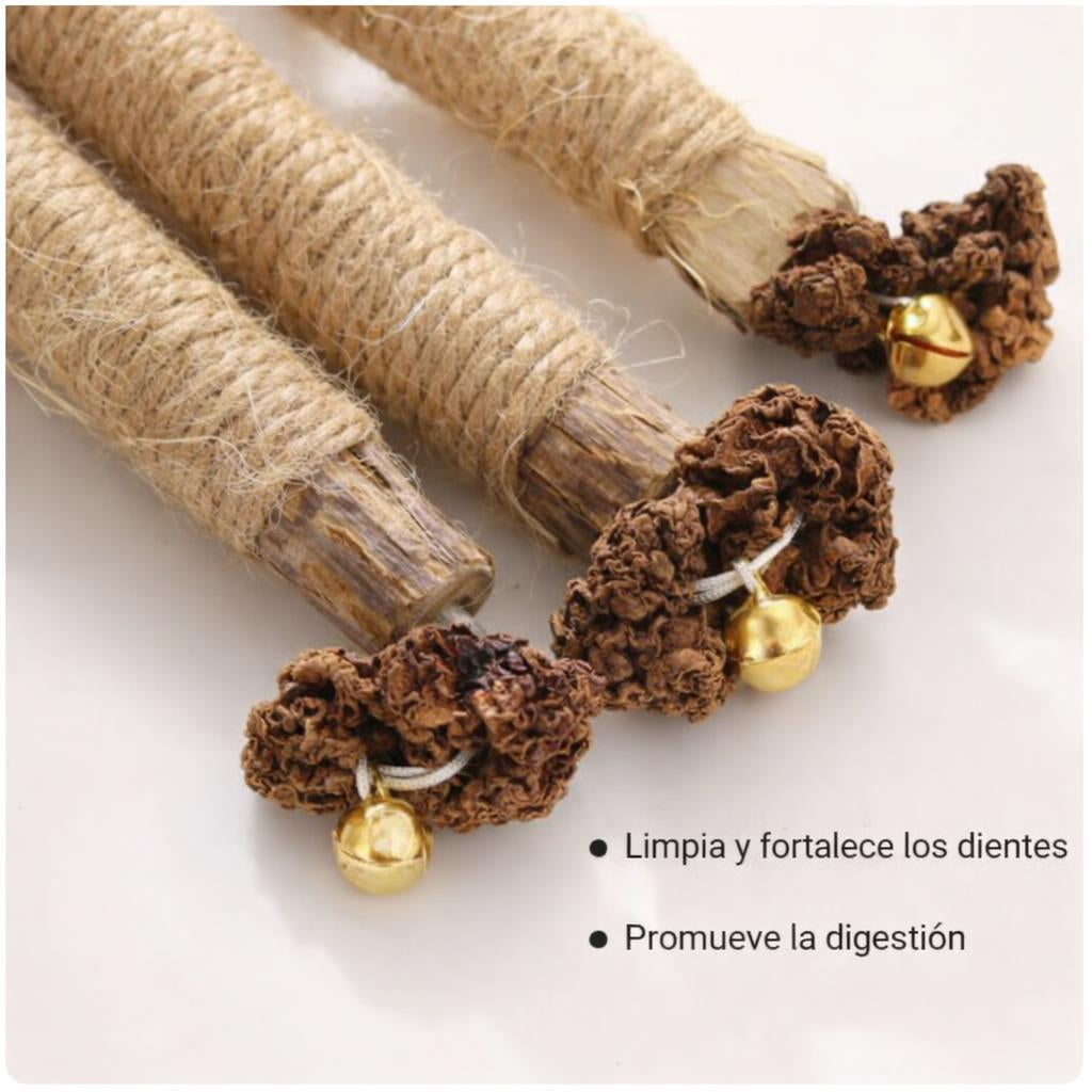 Kit Dental de Silvervine Natural